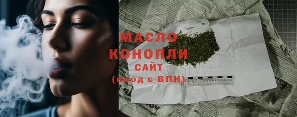 индика Богородск