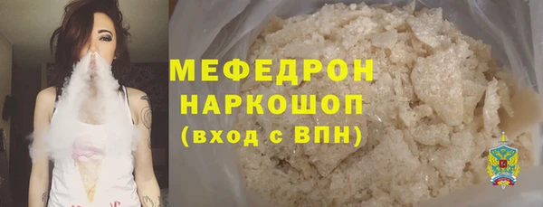 индика Богородск