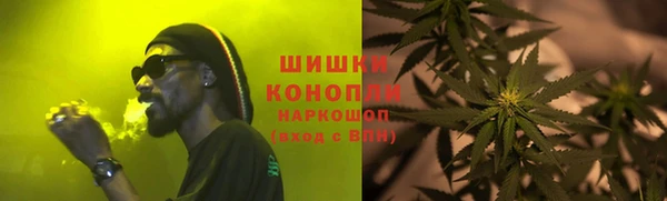 ешки Белокуриха
