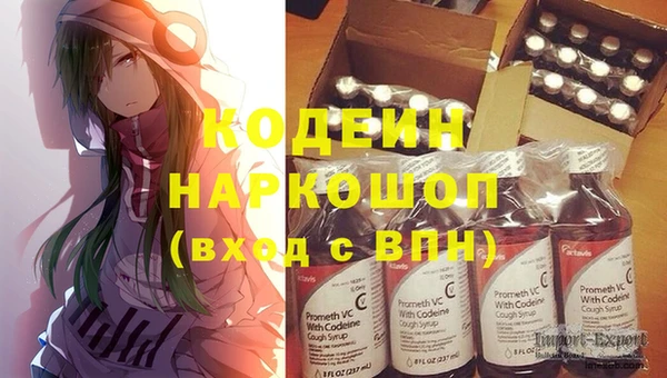 индика Богородск