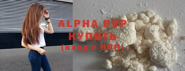 индика Богородск