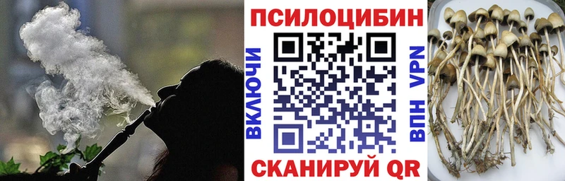 Псилоцибиновые грибы Cubensis  Гусев 